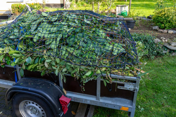 Best Shed Removal  in Marion, PA